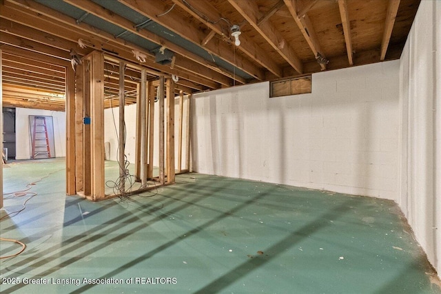 420 John R St, East Lansing, MI 48823 - view of unfinished below grade area