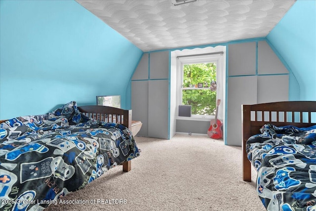 407 Kearney St, Portland, MI 48875 - bedroom featuring vaulted ceiling and carpet floors