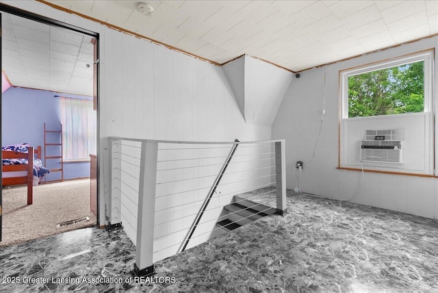 407 Kearney St, Portland, MI 48875 - additional living space with cooling unit
