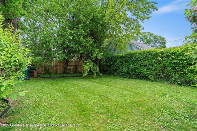 1218 Woodbine Ave, Lansing, MI 48910 - view of yard