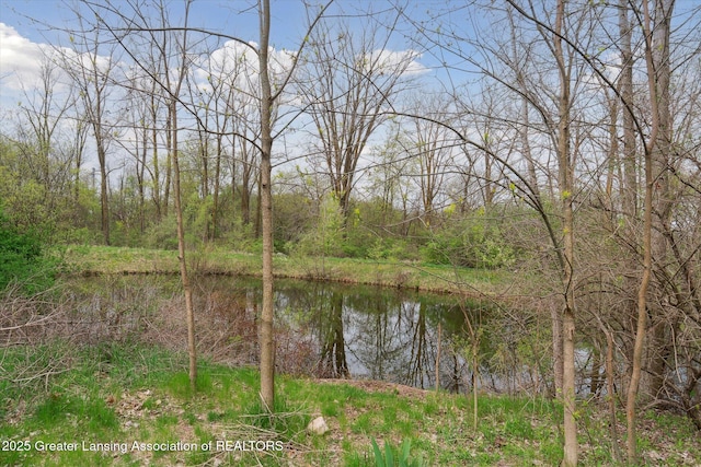 549 Riverwalk Dr, Mason, MI 48854 - water view