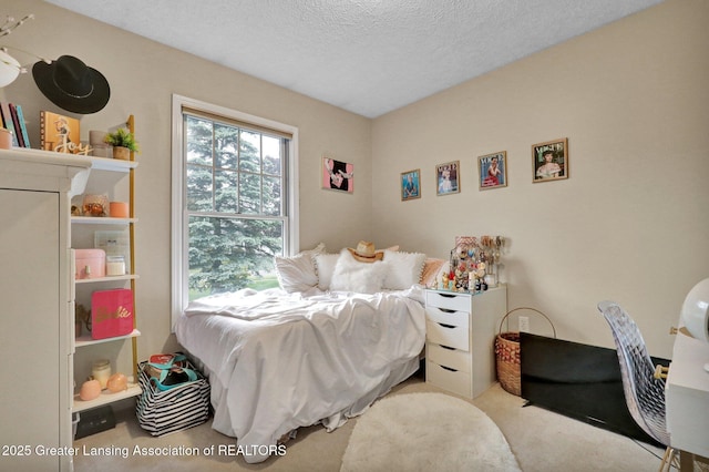 722 Fieldview Dr, Grand Ledge, MI 48837 - carpeted bedroom with a textured ceiling