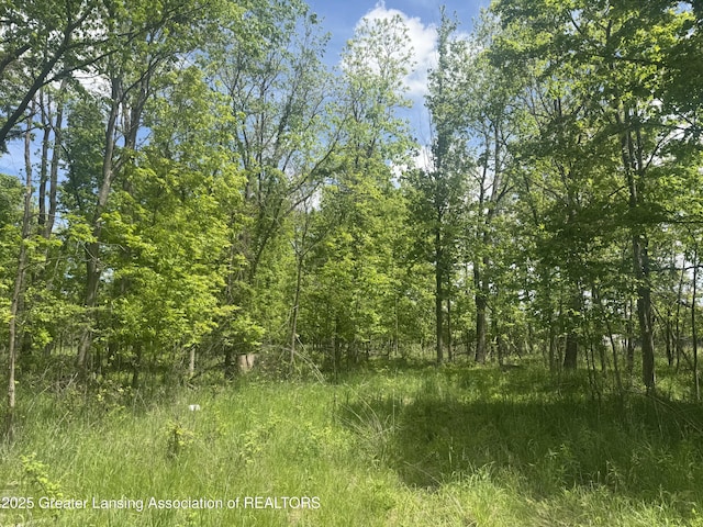 11459 Vfw Rd, Eaton Rapids, MI 48827