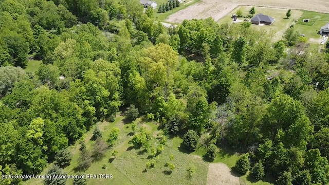 11459 Vfw Rd, Eaton Rapids, MI 48827