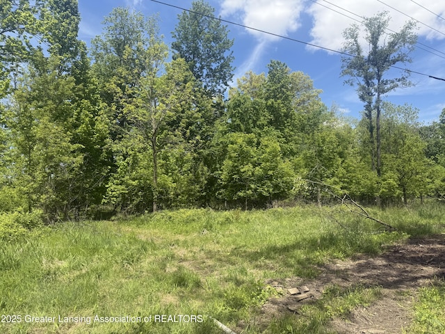 11459 Vfw Rd, Eaton Rapids, MI 48827