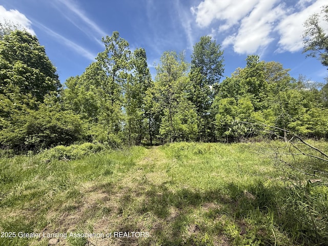 11459 Vfw Rd, Eaton Rapids, MI 48827