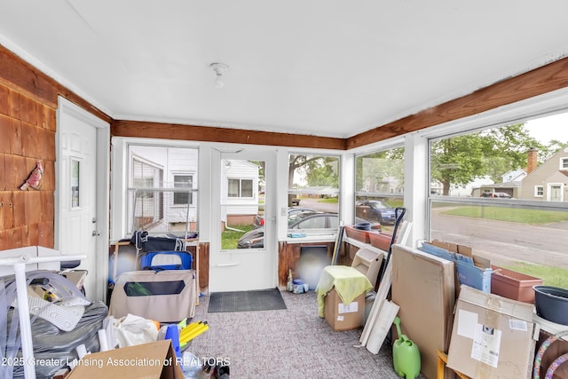316 S Rosemary Ave, Lansing, MI 48917 - view of sunroom