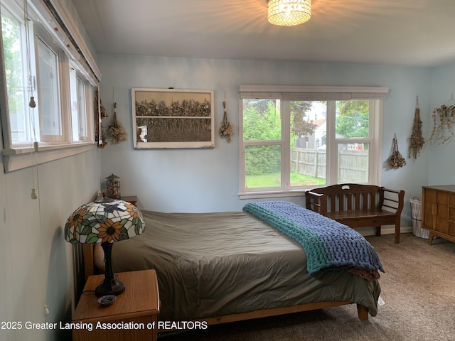 575 Brookland Blvd, Lansing, MI 48910 - bedroom with carpet