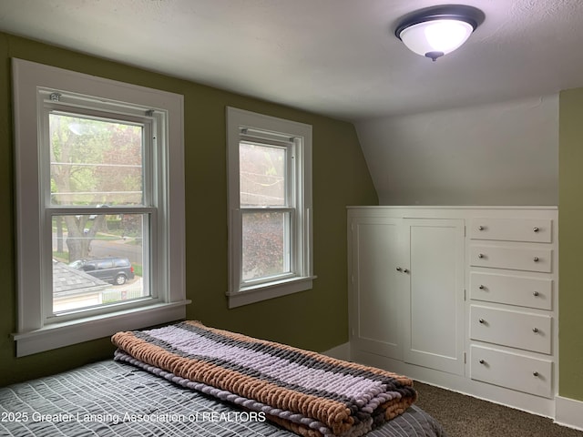 575 Brookland Blvd, Lansing, MI 48910 - carpeted bedroom featuring multiple windows and lofted ceiling