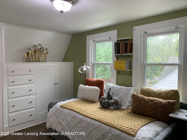 575 Brookland Blvd, Lansing, MI 48910 - bedroom with dark colored carpet