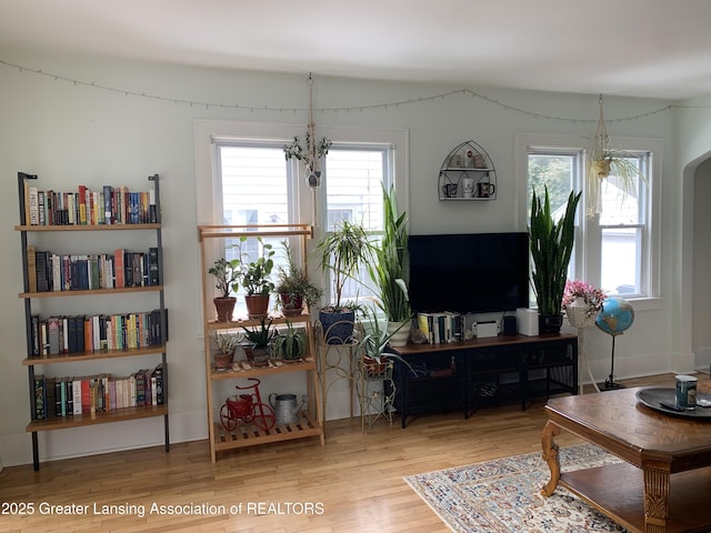 575 Brookland Blvd, Lansing, MI 48910 - living room featuring wood finished floors and healthy amount of natural light