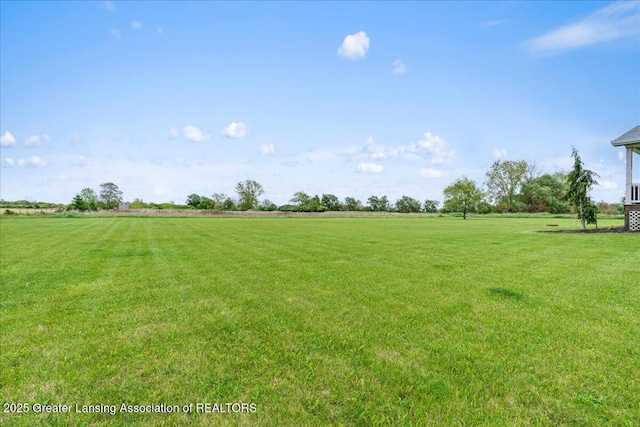 3800 N Williams Rd, Saint Johns, MI 48879 - view of grassy yard with a view of rural / pastoral area
