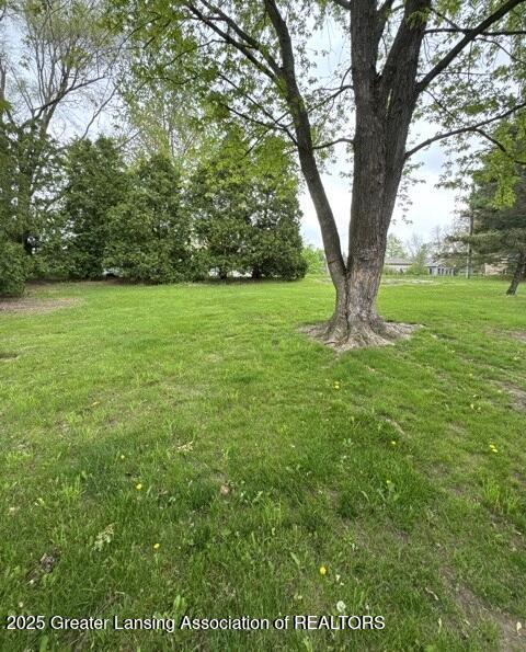 9882 W M 21, Ovid, MI 48866 - view of grassy yard