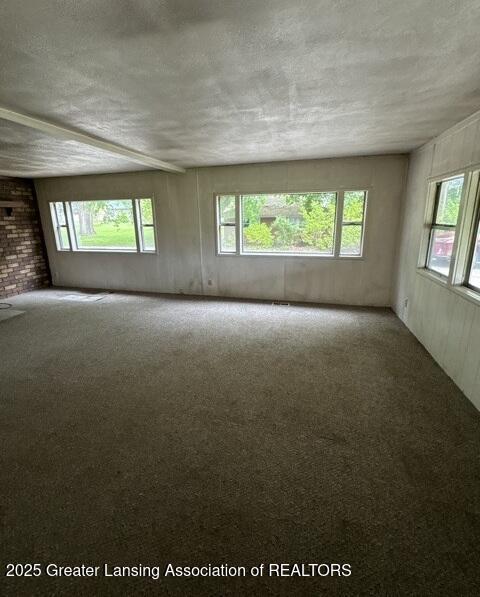 9882 W M 21, Ovid, MI 48866 - carpeted empty room with plenty of natural light and a textured ceiling