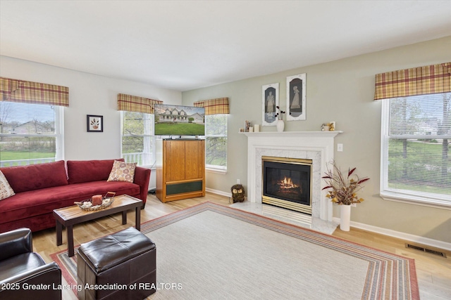 1990 S Waverly Rd, Eaton Rapids, MI 48827 - living area featuring plenty of natural light, a premium fireplace, wood finished floors, and baseboards