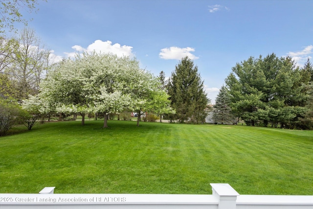 1990 S Waverly Rd, Eaton Rapids, MI 48827 - view of grassy yard