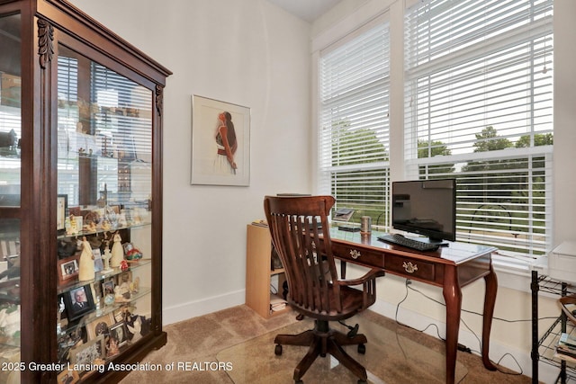 4269 Tamarack St, Holt, MI 48842 - carpeted home office with baseboards