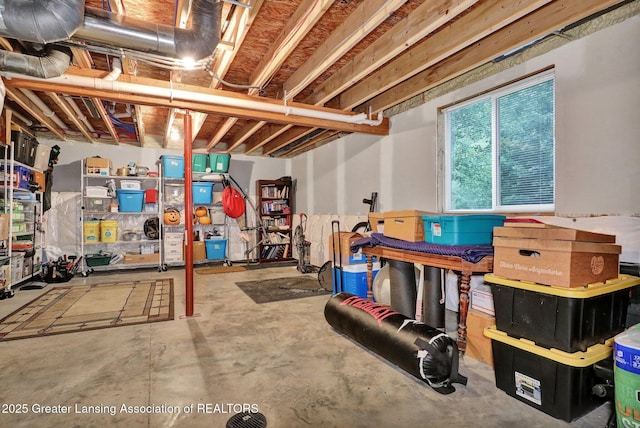 4269 Tamarack St, Holt, MI 48842 - view of basement
