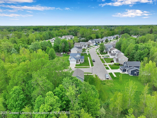 4269 Tamarack St, Holt, MI 48842 - aerial view of residential area with a heavily wooded area