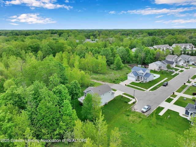 4269 Tamarack St, Holt, MI 48842 - aerial view of residential area with a heavily wooded area