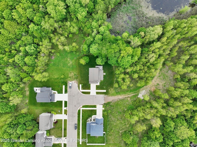 4269 Tamarack St, Holt, MI 48842 - aerial overview of property's location
