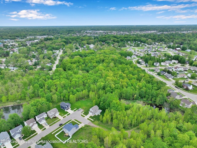 4269 Tamarack St, Holt, MI 48842 - aerial perspective of suburban area with a heavily wooded area