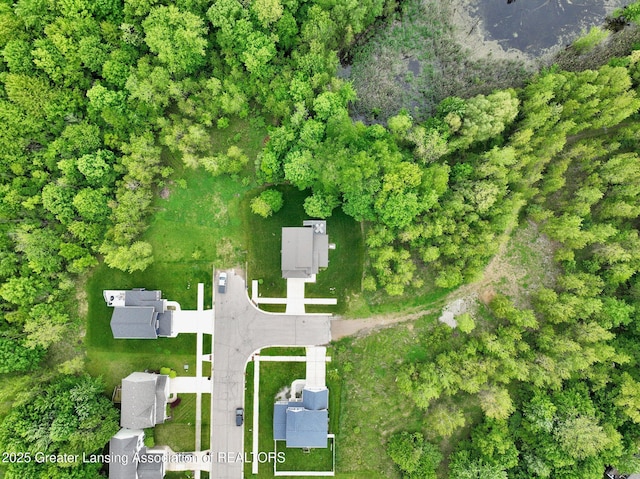 4269 Tamarack St, Holt, MI 48842 - aerial view of property's location