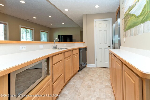 4347 Fruitbelt Ln, Williamston, MI 48895