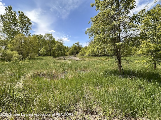 11195 W Herbison Rd, Eagle, MI 48822 - view of undeveloped land