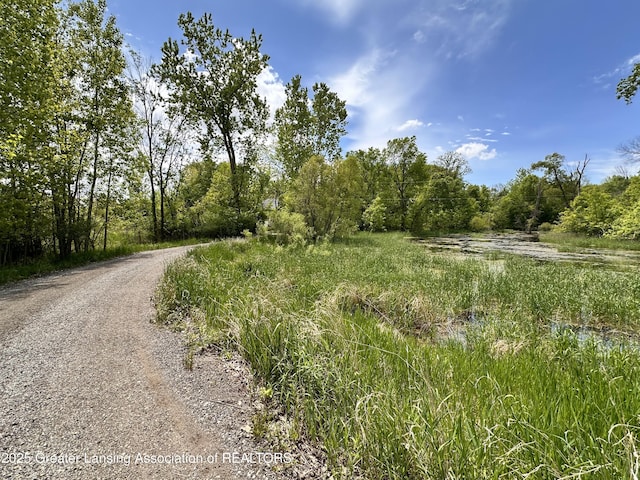 11195 W Herbison Rd, Eagle, MI 48822 - view of dirt / gravel road with a wooded view
