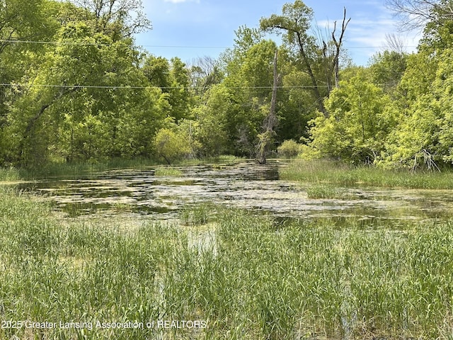 11195 W Herbison Rd, Eagle, MI 48822 - view of tree filled area with a water view