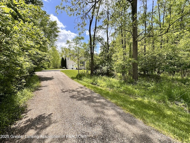 11195 W Herbison Rd, Eagle, MI 48822 - view of dirt / gravel road