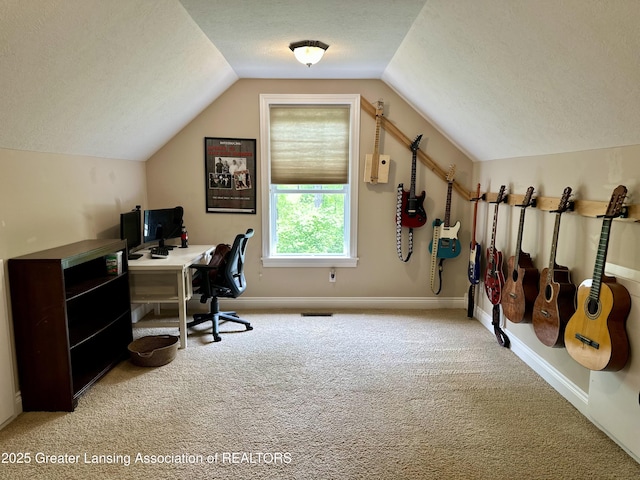 11195 W Herbison Rd, Eagle, MI 48822 - home office featuring carpet, a textured ceiling, vaulted ceiling, and baseboards