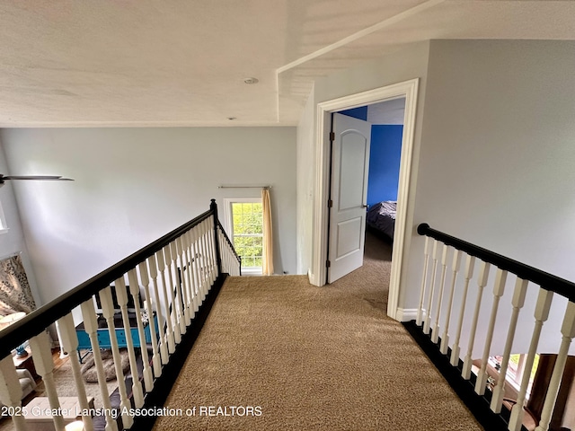 11195 W Herbison Rd, Eagle, MI 48822 - hallway featuring an upstairs landing and carpet flooring