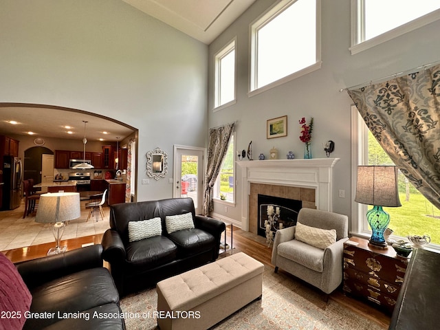 11195 W Herbison Rd, Eagle, MI 48822 - living area featuring arched walkways, high vaulted ceiling, plenty of natural light, a tile fireplace, and light wood finished floors