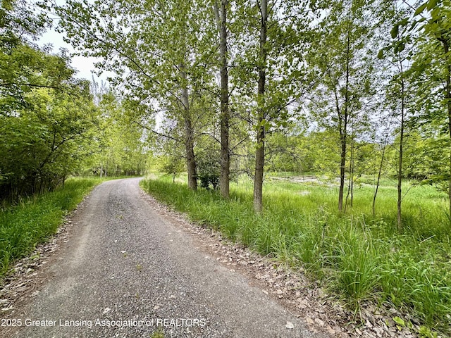 11195 W Herbison Rd, Eagle, MI 48822 - view of street featuring a wooded view