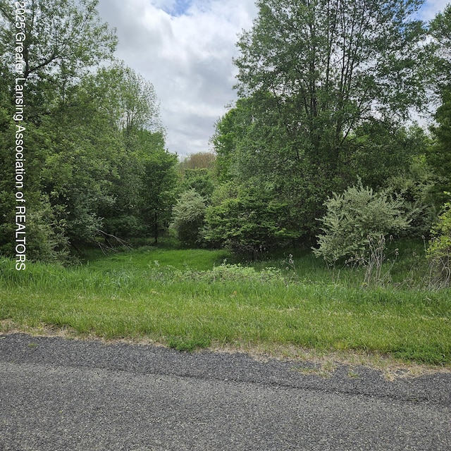 0 Woodlawn Dr, Perrinton, MI 48871 - photo 1