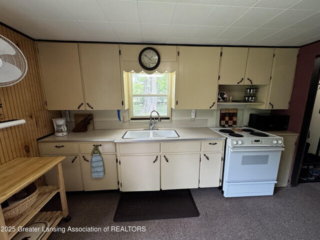 3423 Riverview Dr, Hersey, MI 49639 - photo 27
