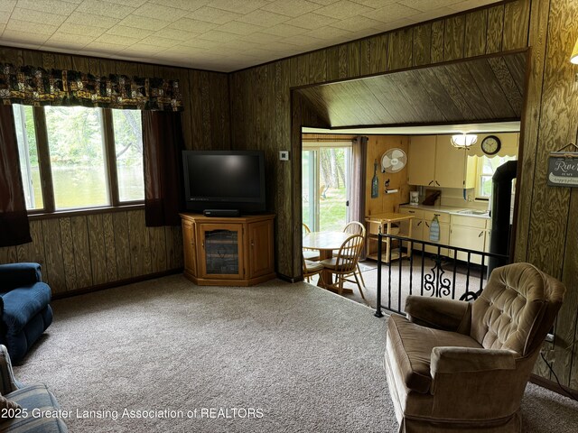 3423 Riverview Dr, Hersey, MI 49639 - photo 25