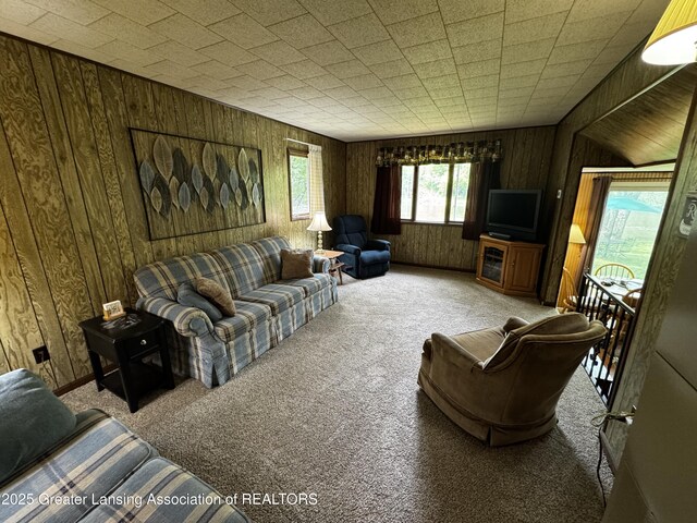 3423 Riverview Dr, Hersey, MI 49639 - photo 21
