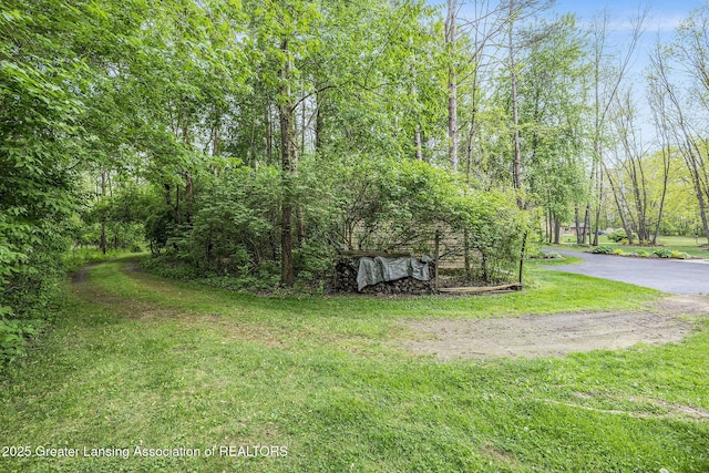 8450 Pineview Lake Dr, Linden, MI 48451 - view of green lawn