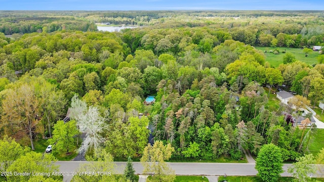 8450 Pineview Lake Dr, Linden, MI 48451 - aerial view of property's location featuring a forest and a nearby body of water