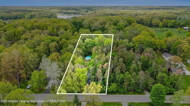 8450 Pineview Lake Dr, Linden, MI 48451 - aerial view of property's location with a forest and property boundaries highlighted