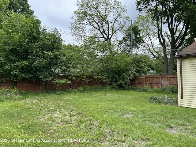 657 Spartan Ave, East Lansing, MI 48823 - view of yard