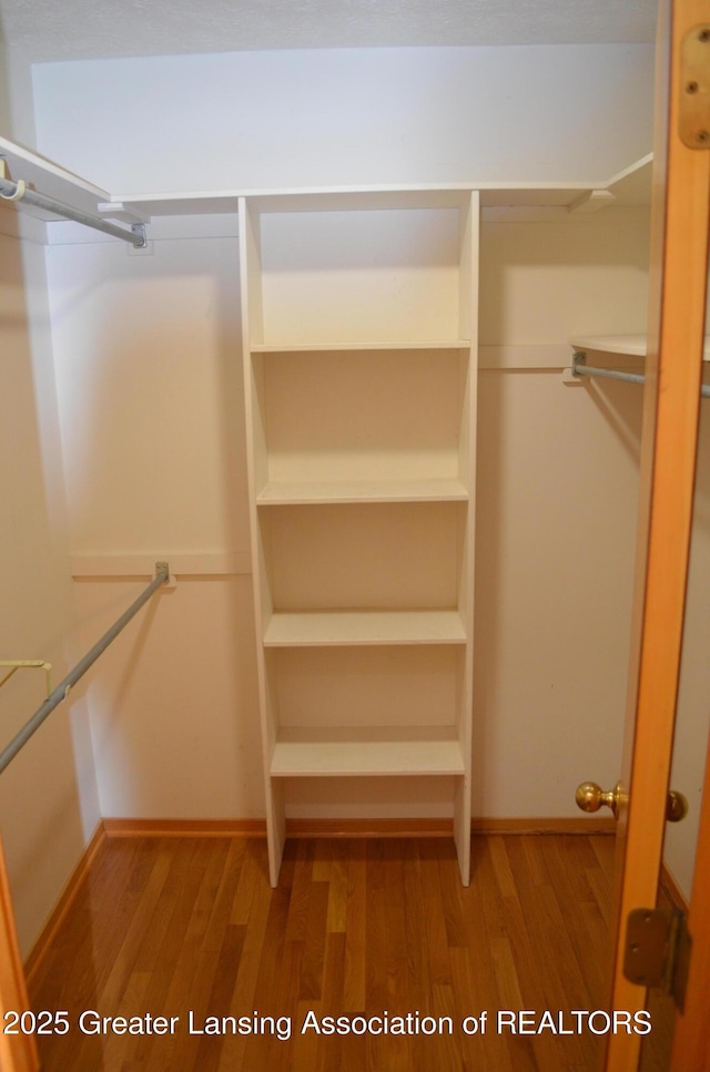 2397 Emerald Forest Cir Unit 26, East Lansing, MI 48823 - spacious closet featuring light wood-type flooring