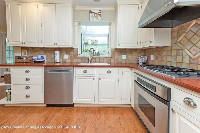 4767 Mohican Ln, Okemos, MI 48864 - kitchen featuring appliances with stainless steel finishes, under cabinet range hood, a sink, light wood-style floors, and backsplash