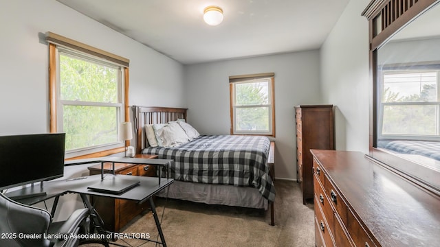 515 Chanticleer Trl, Lansing, MI 48917 - view of carpeted bedroom