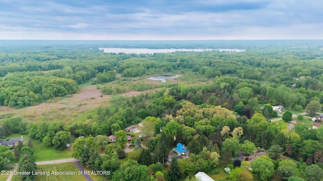 9181 Coleman Rd, Haslett, MI 48840 - bird's eye view of a heavily wooded area and a large body of water