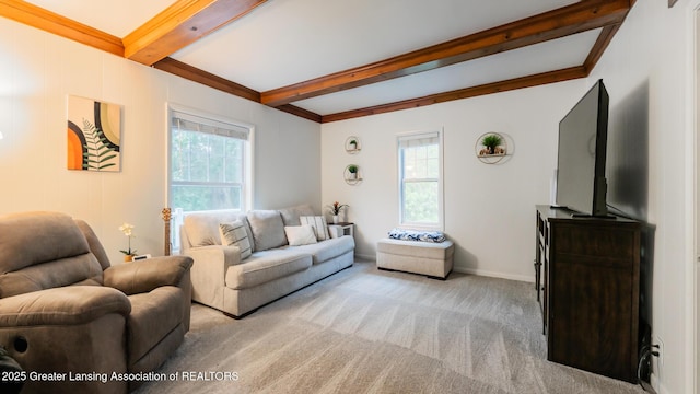 9181 Coleman Rd, Haslett, MI 48840 - living area with healthy amount of natural light, light colored carpet, beam ceiling, and baseboards