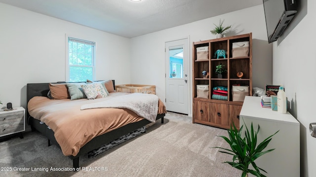 9181 Coleman Rd, Haslett, MI 48840 - view of carpeted bedroom
